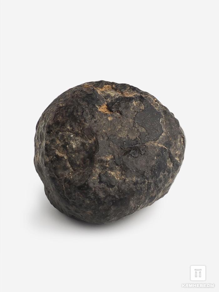Метеорит NWA 869, 2,6х2,5х2 (23 г), 10-110/11, фото 2