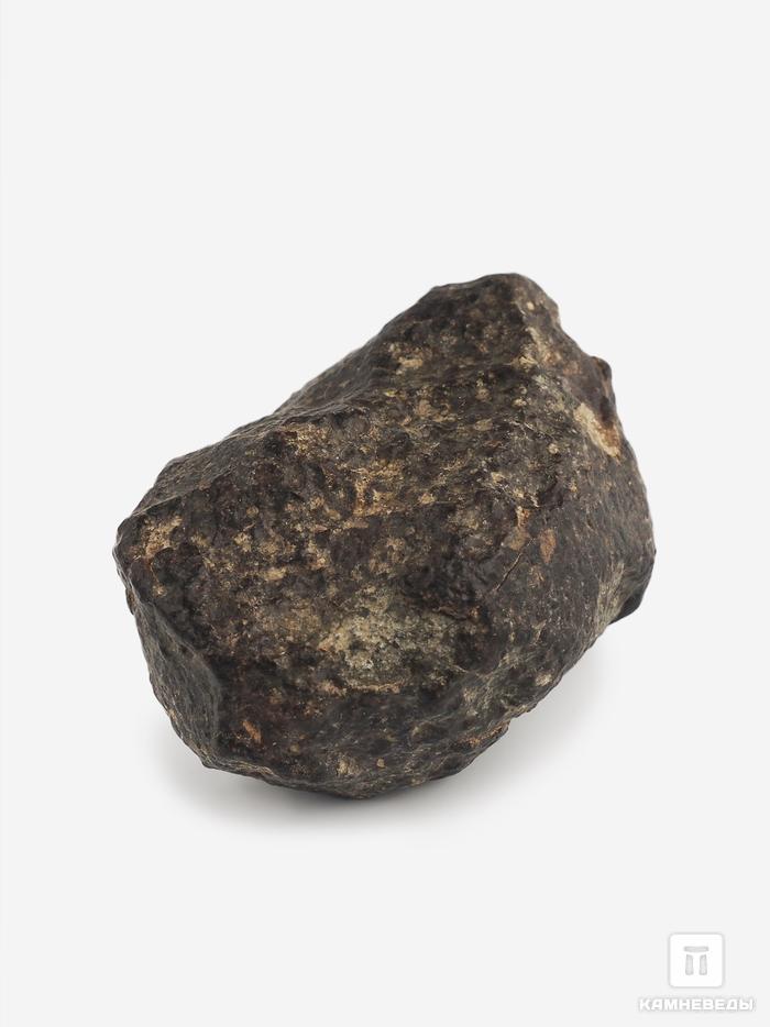 Метеорит NWA 869, 4,3х3,1х2,1 см (51,2 г), 25704, фото 1