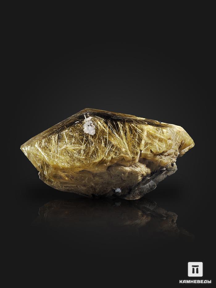 Волосатик (рутил в горном хрустале) с гематитом, двухголовый кристалл 13,8х8х6,5 см, 10-330, фото 5
