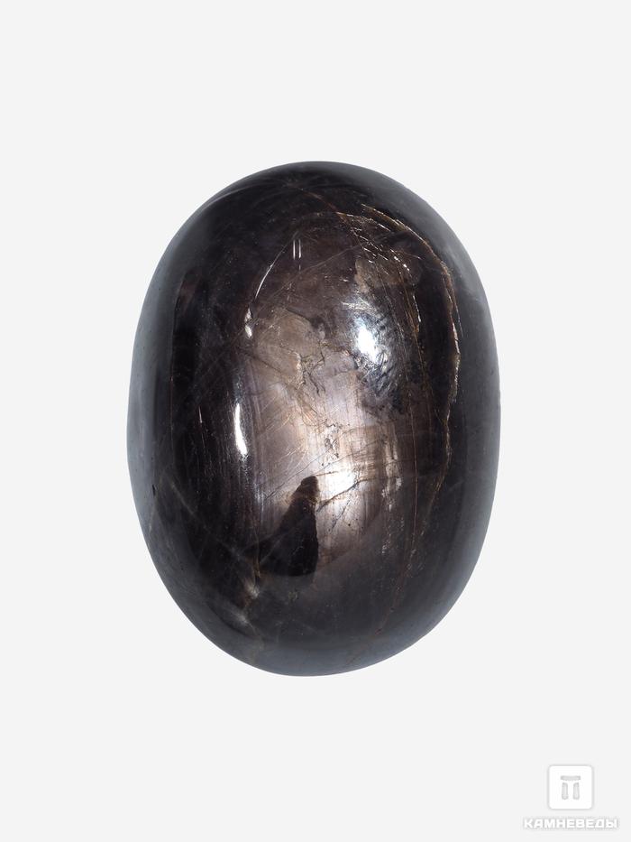 Корунд «Чёрный сапфир», кабошон 3х2,1х1,2 см (82 ct), 26765, фото 1