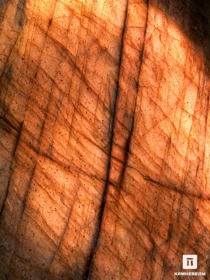 Лабрадор, галька полированная 4,5-5 см (45-55 г), 27581, фото 2
