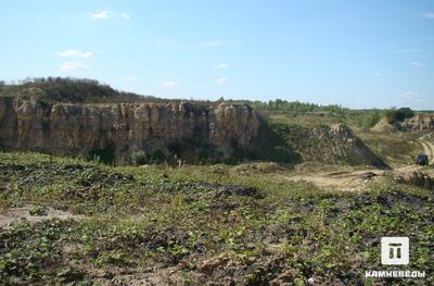 Вид на Турнынинский карьер (около поселения Турнынино)